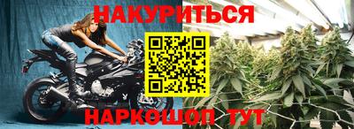 трава Новодвинск