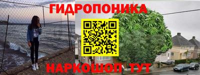 трава Новодвинск