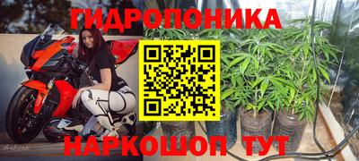 спиды Новокубанск