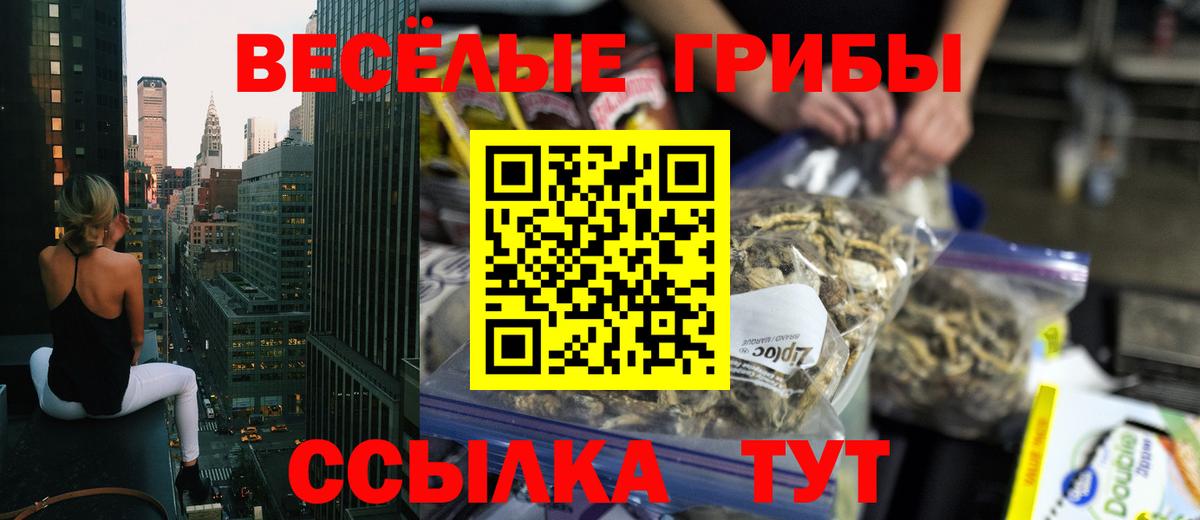 купить   Вход с VPN  Таганрог  Псилоцибиновые грибы мухоморы 
